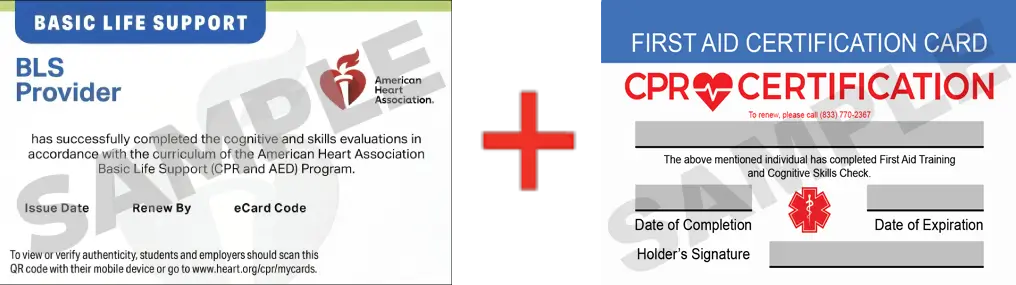 Sample American Heart Association AHA BLS CPR Card Certification and First Aid Certification Card from CPR Certification Austin